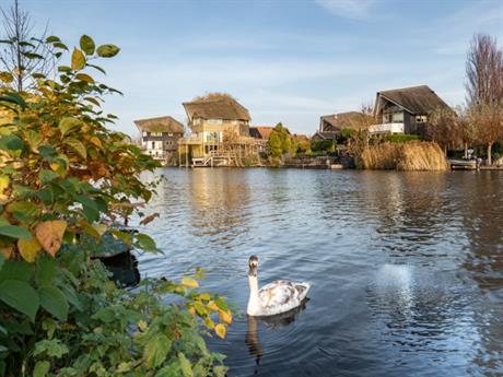 Woonwijk aan het water met zwaan