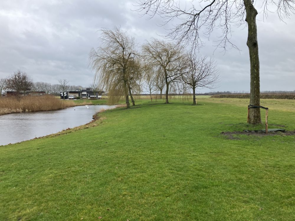 Bomen bij het Elzenpark