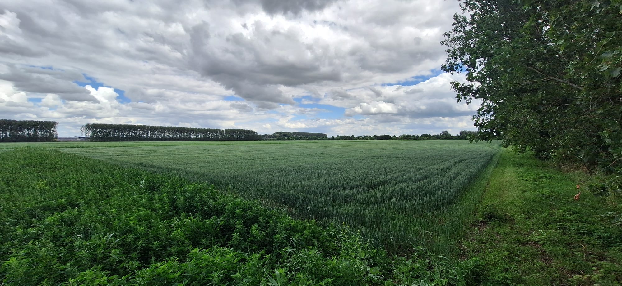 Locatie bouwweg Zuiderhage