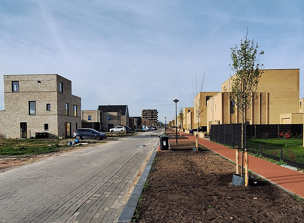 Terreininrichting Buizerdlaan