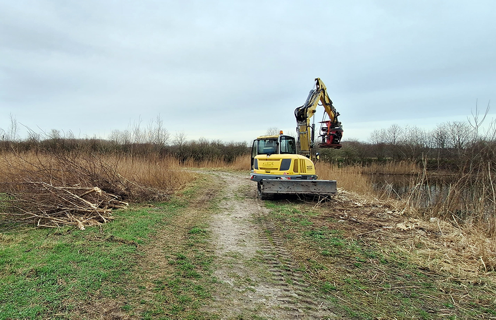 Weghalen begroeiing De Elzen Warande