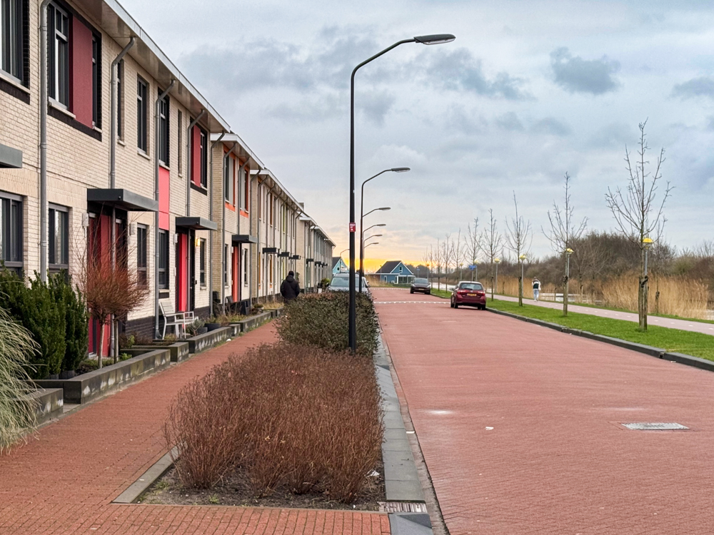 Parkeren aan de Ranonkellaan
