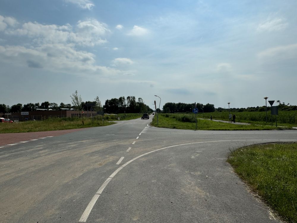 Kruising Buizerdweg met Ranonkellaan