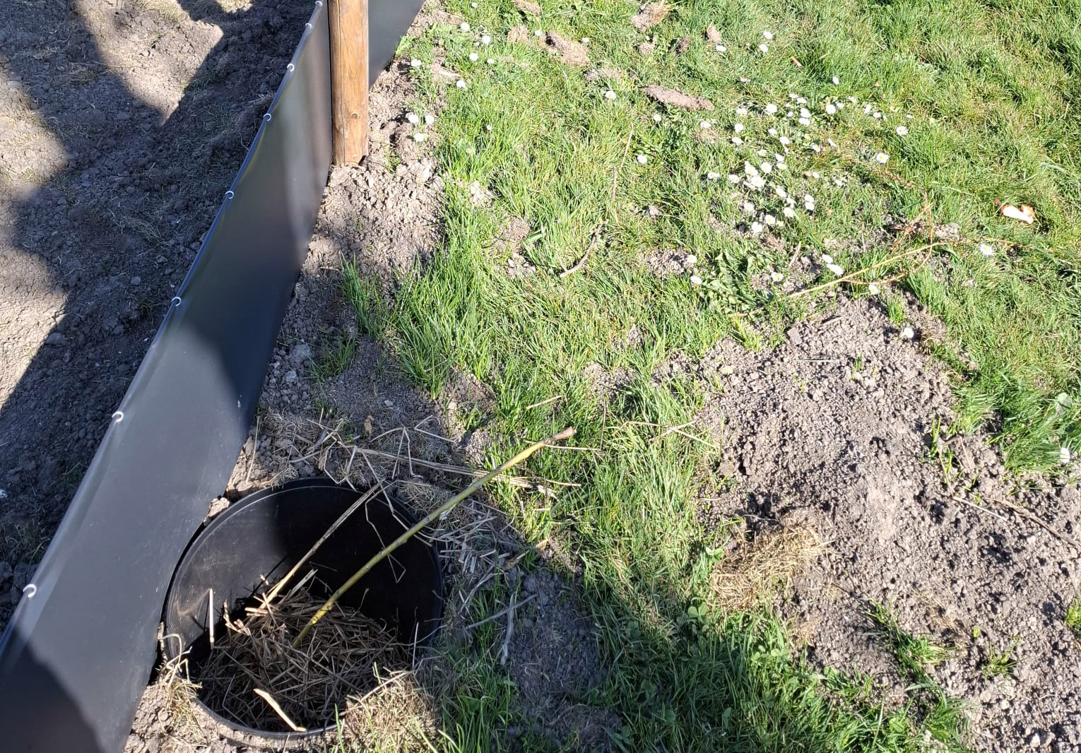 Paddenscherm bij De Elzen in Warande