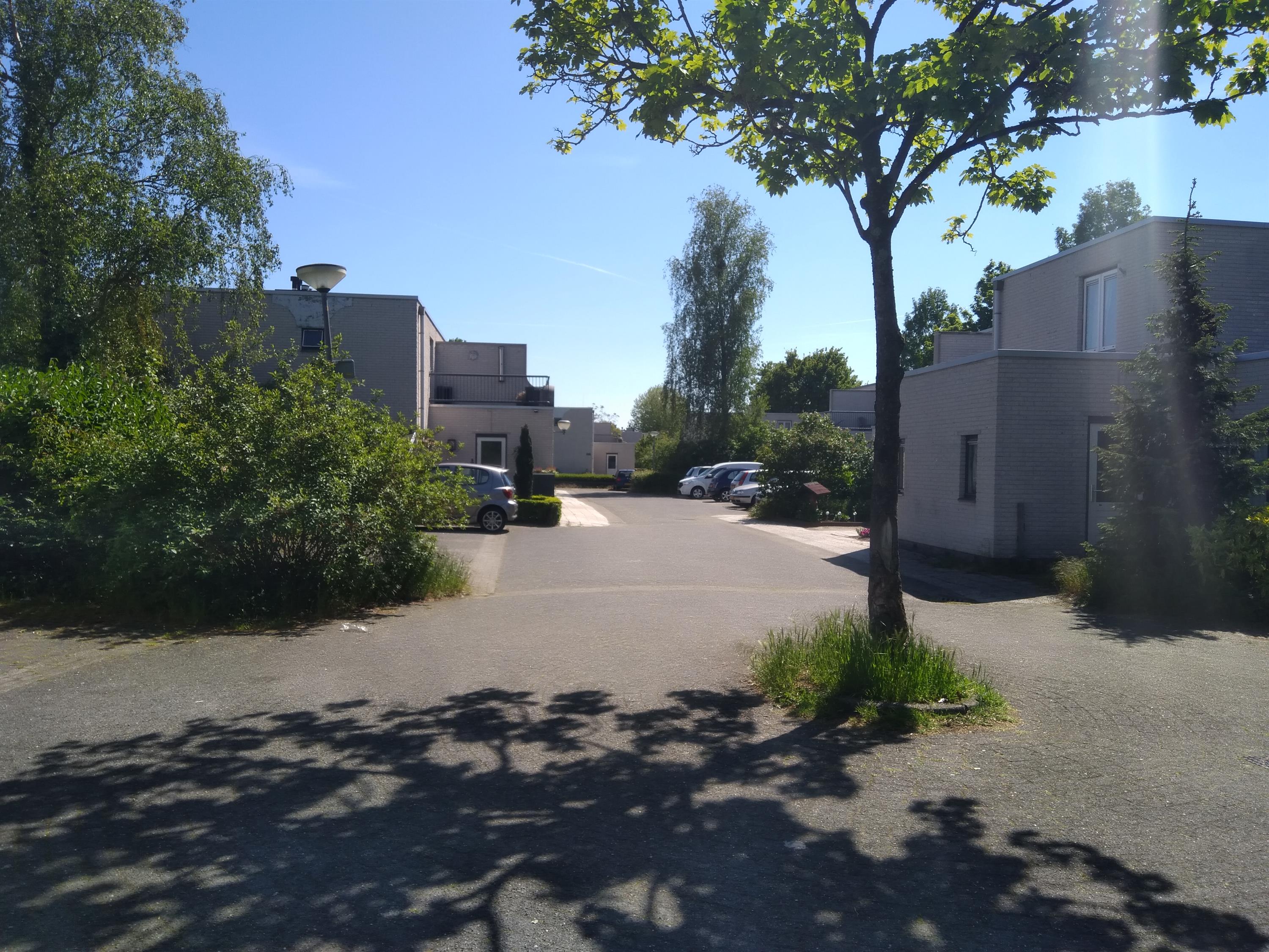 Kustrif