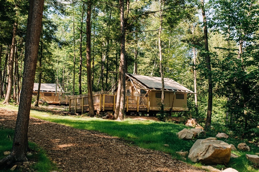 Glampingtenten in het bos