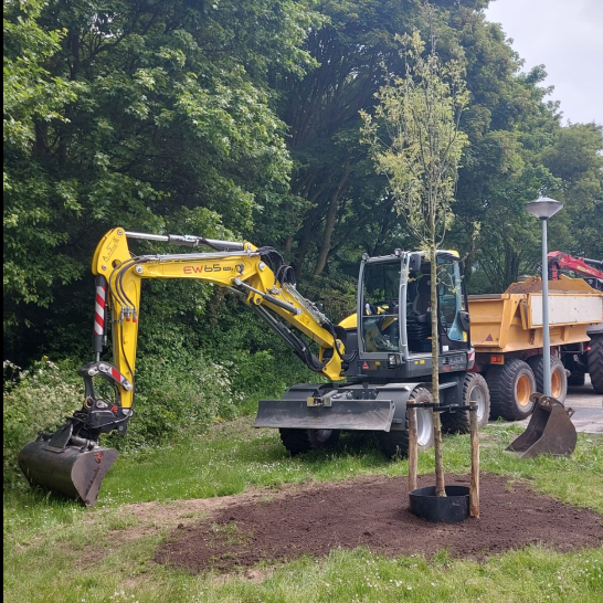 Planten van een nieuwe boom