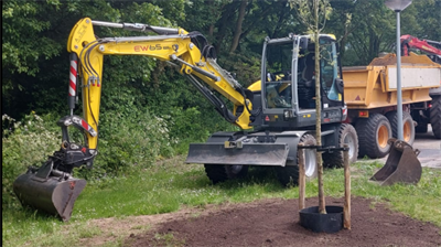 Planten van een nieuwe boom