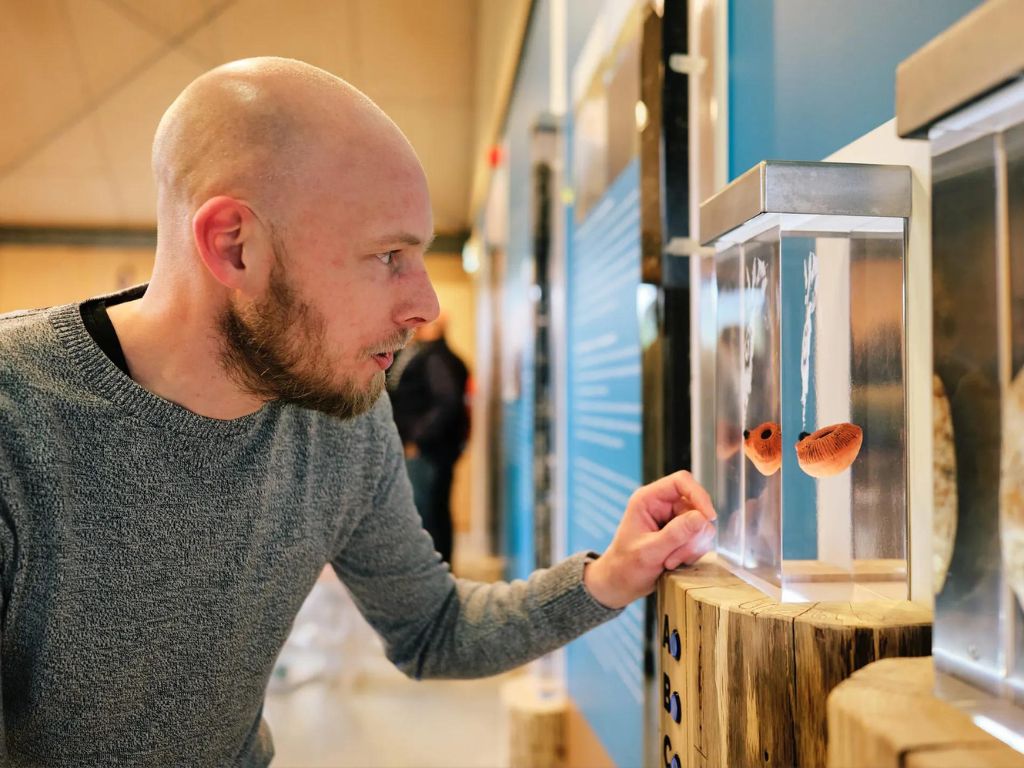 Expositie: De ondergrond van de Oostvaardersplassen