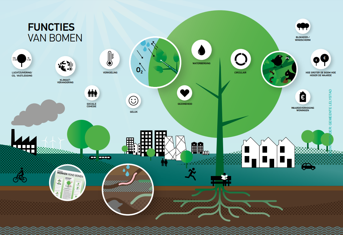 Animatie van functies bomen (bron: Norminstituut bomen)