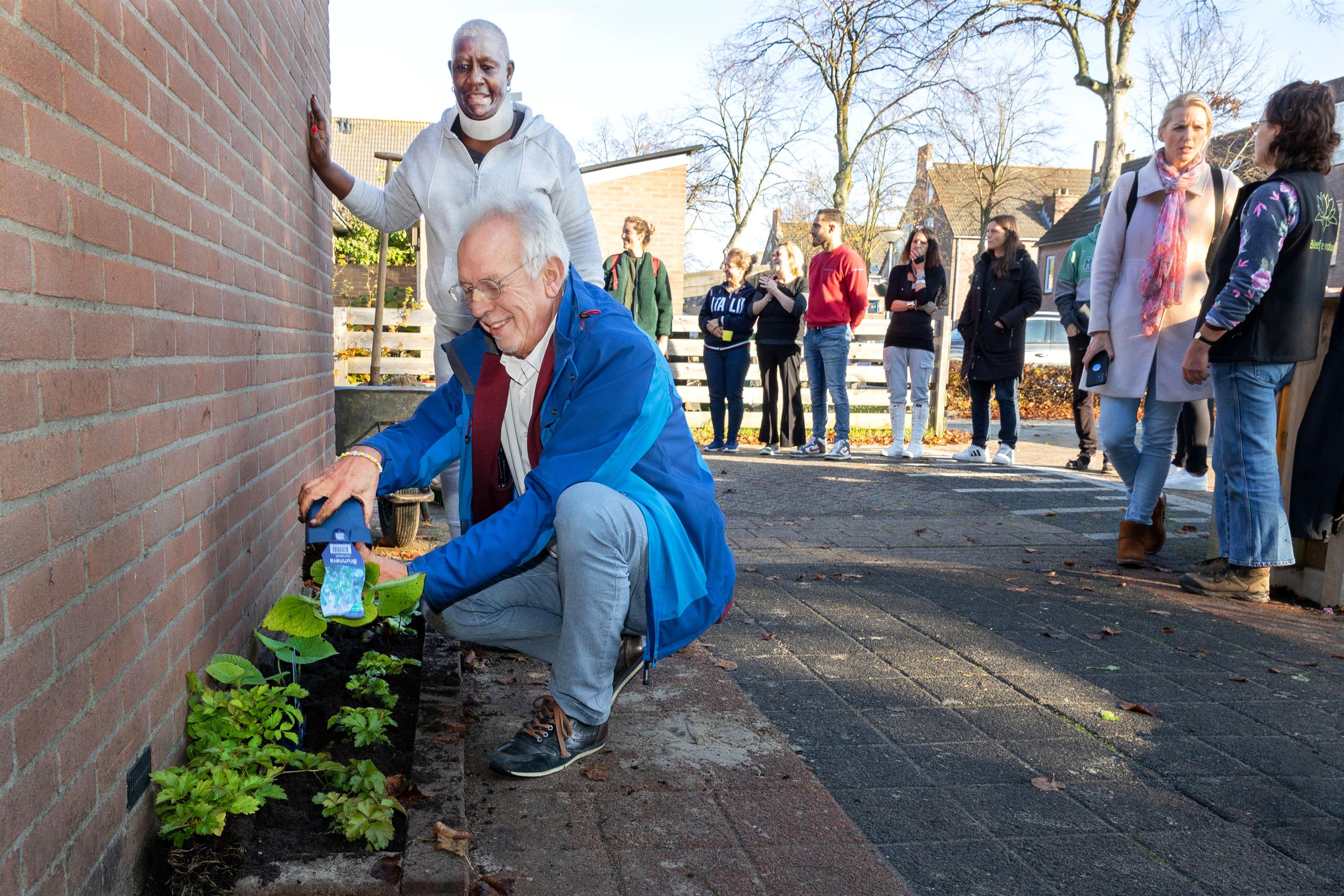 Wethouder Sjaak Kruis plant een plantje