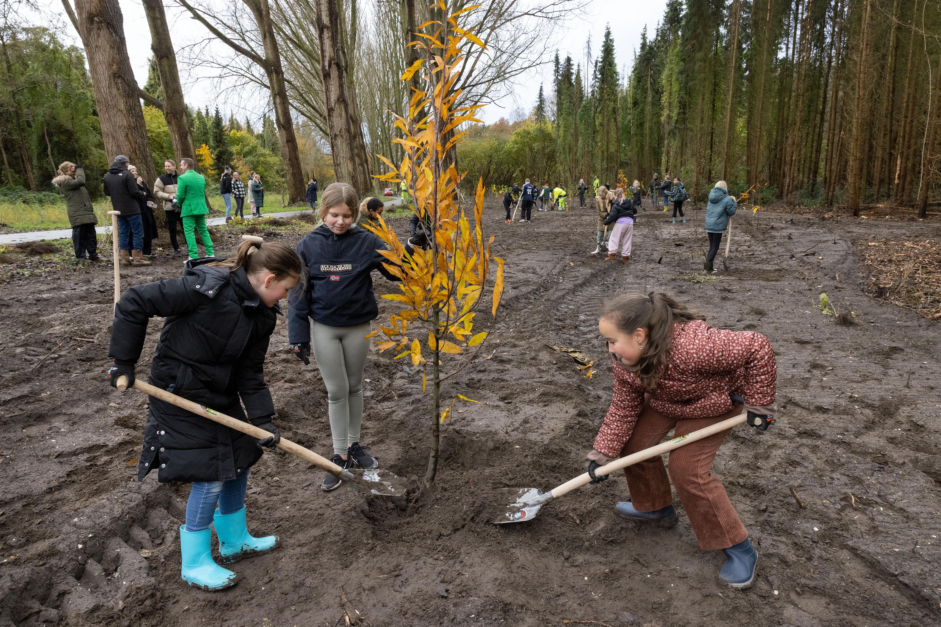 Drie schoolkinderen planten een boom