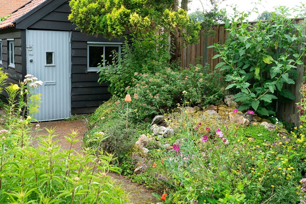 Een groene tuin