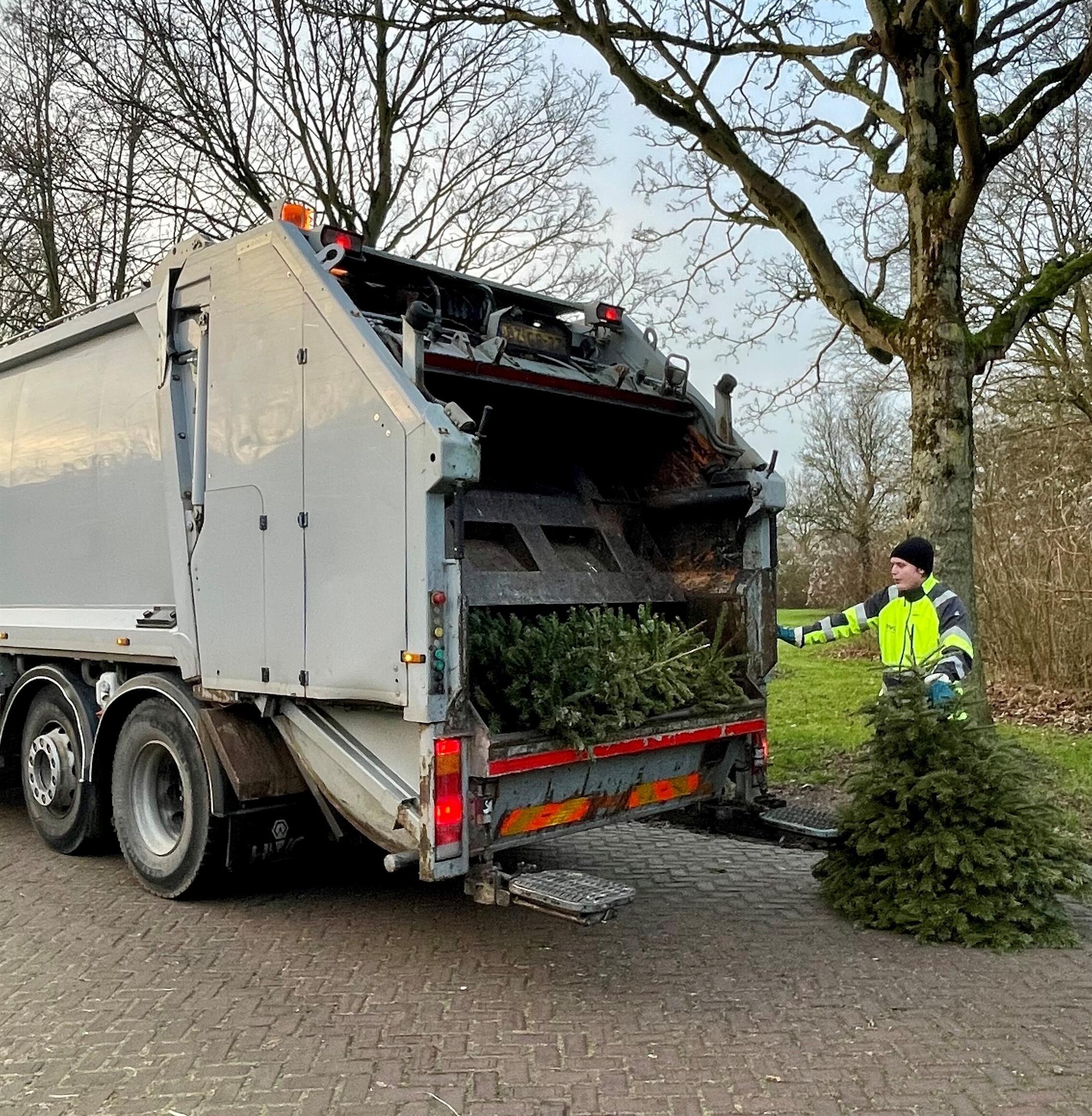 Kerstbomeninzameling door HVC 2025