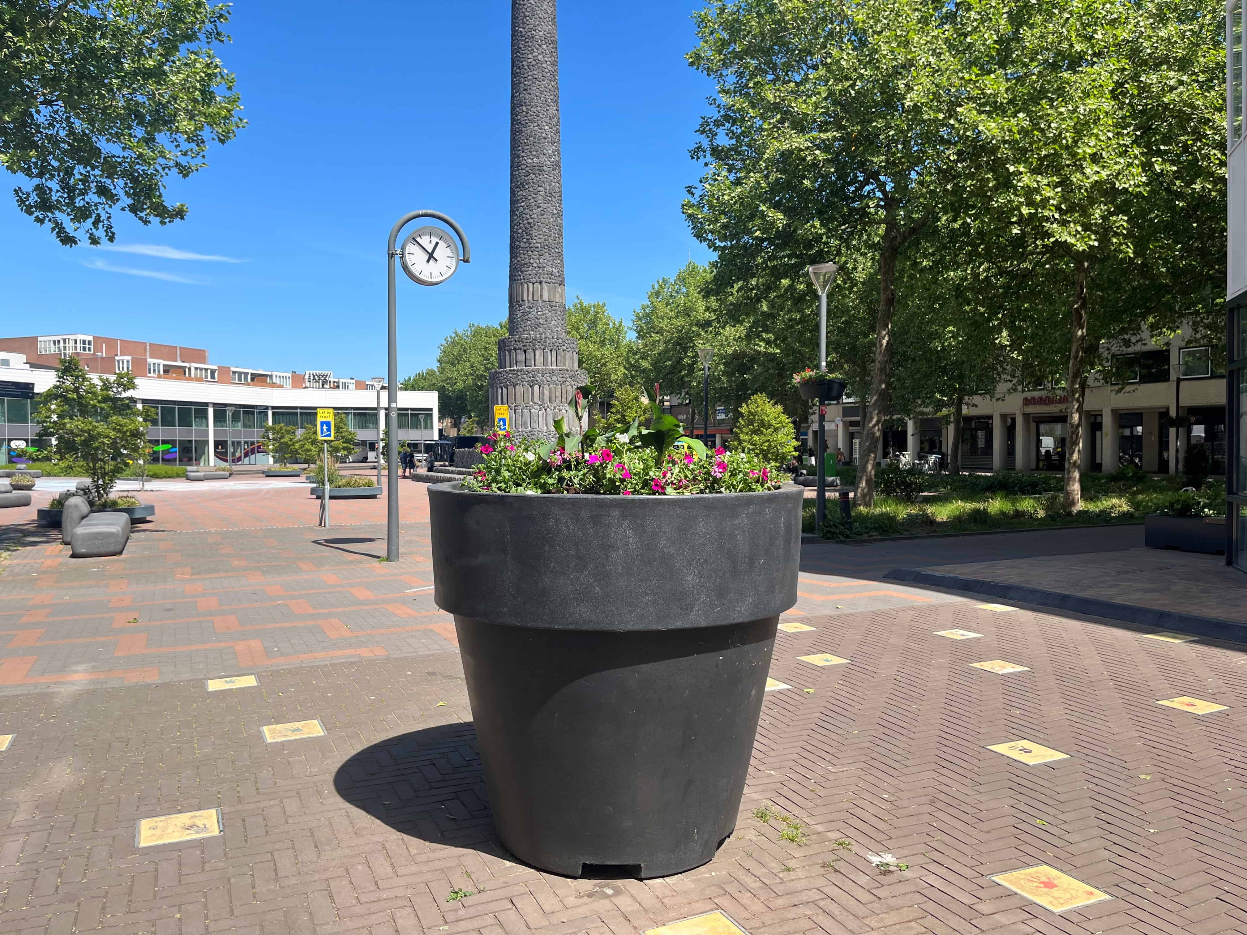 Nieuwe planten in het Stadshart