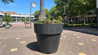 Nieuwe planten in het Stadshart