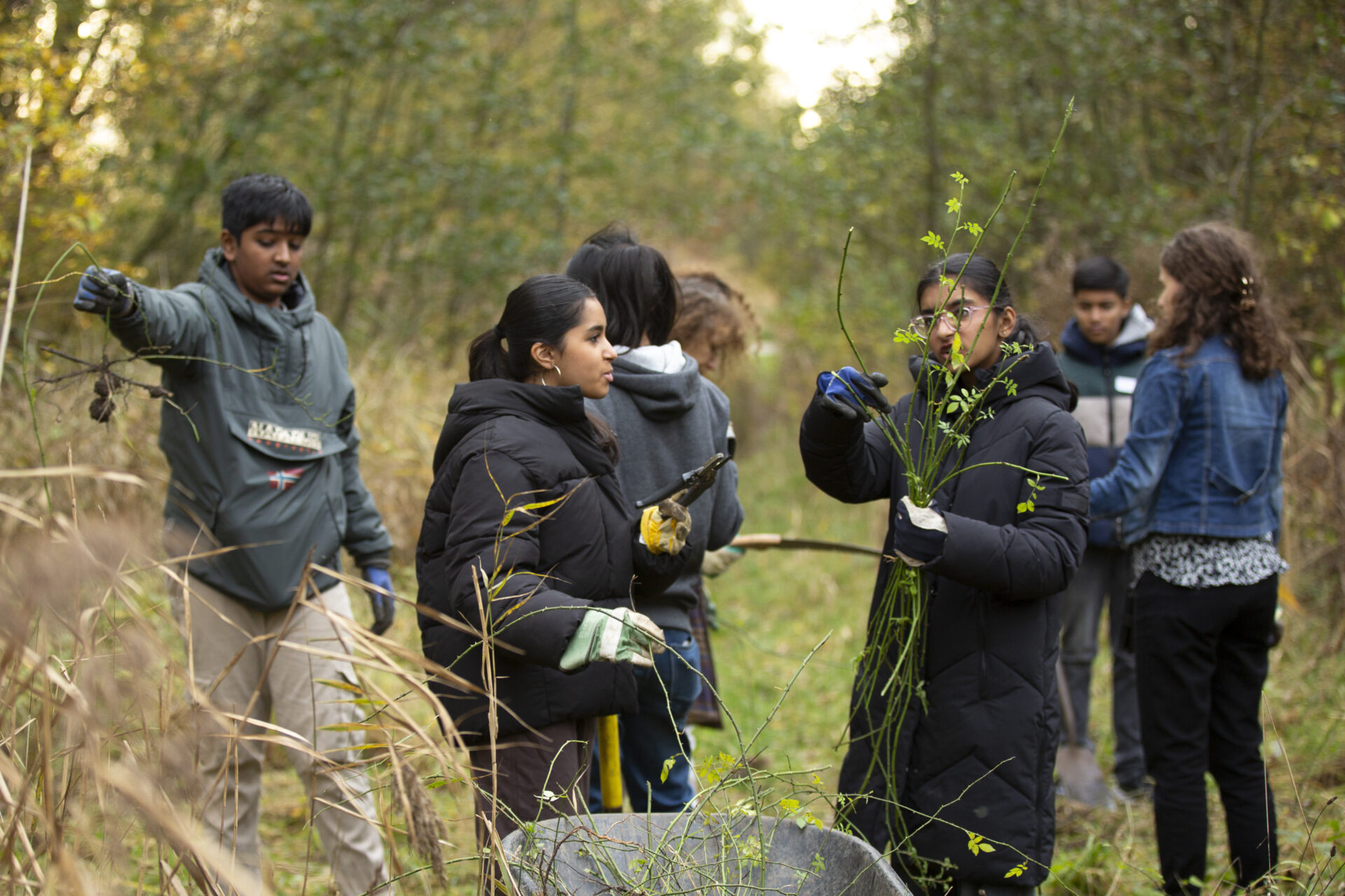 © SabineGrootendorst. Inwoners halen gratis boompjes en struiken