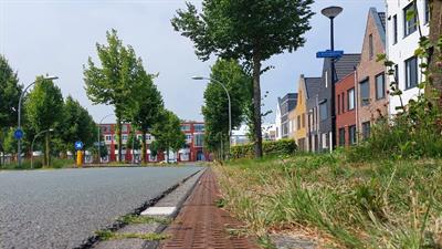 Lijngoot in Lelystad