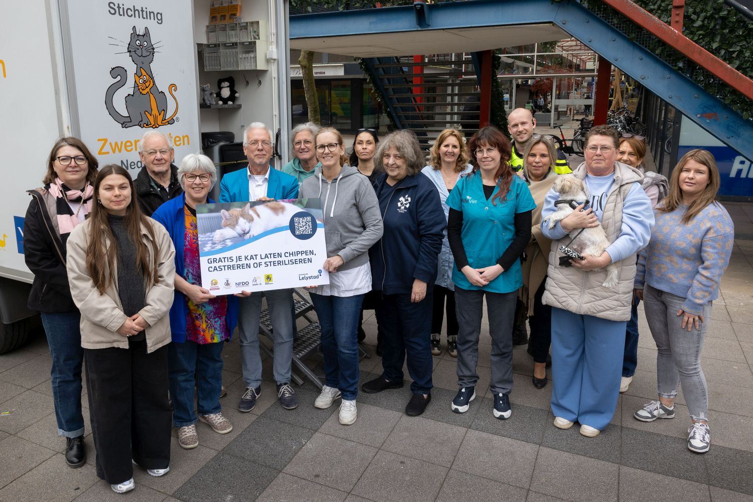 Start kattencastratie