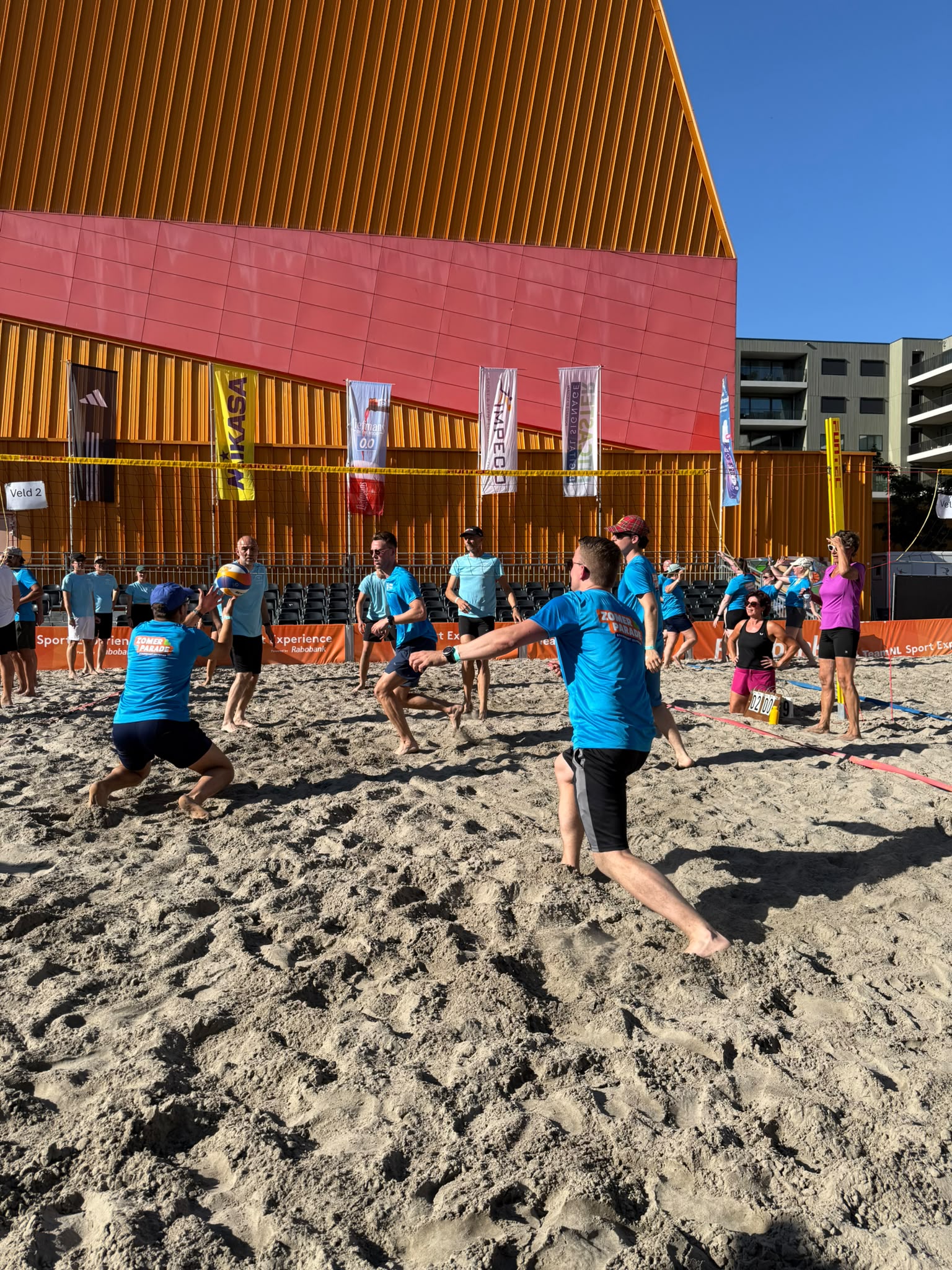 Volleybal