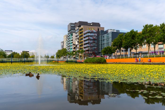 Wonen aan het Zilverpark