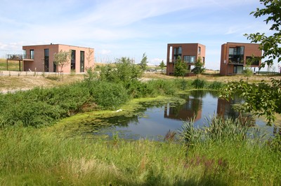 Huizen in Houtribhoogte