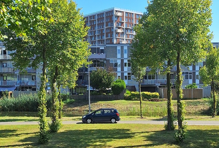 Auto op een dreef in Lelystad