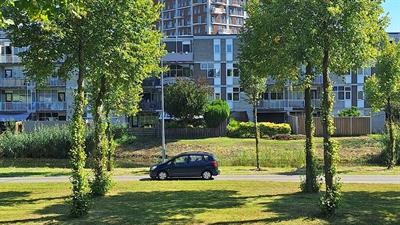 Auto op een dreef in Lelystad