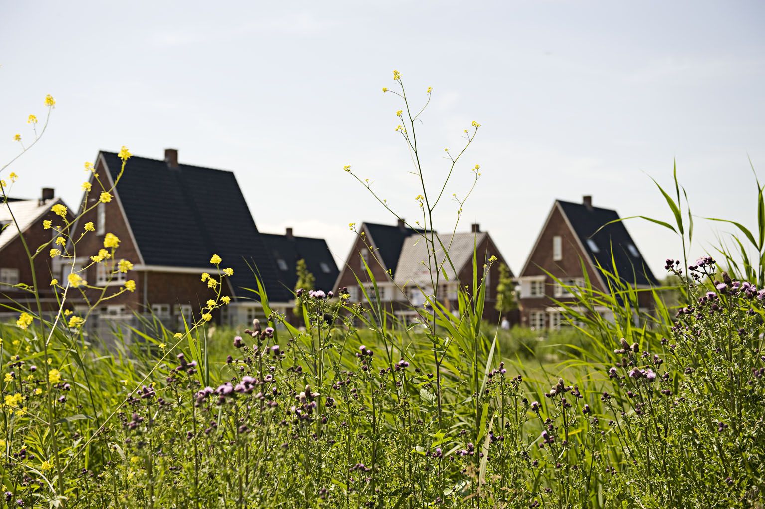 Woningen in de wijk HanzePark