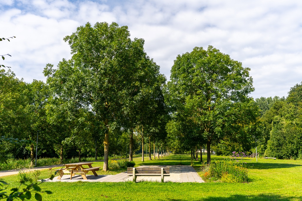 Recreatieplek in het groen