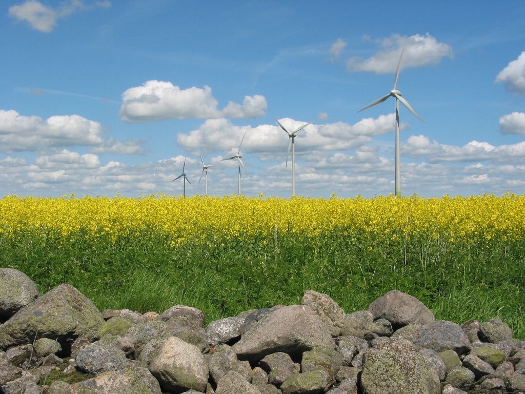 Windmolens in het weiland