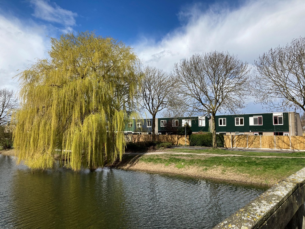 Woningen aan het water