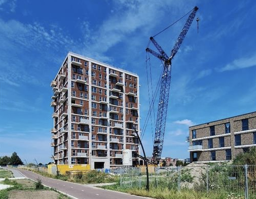 Project Hooghe Bomen van Centrada